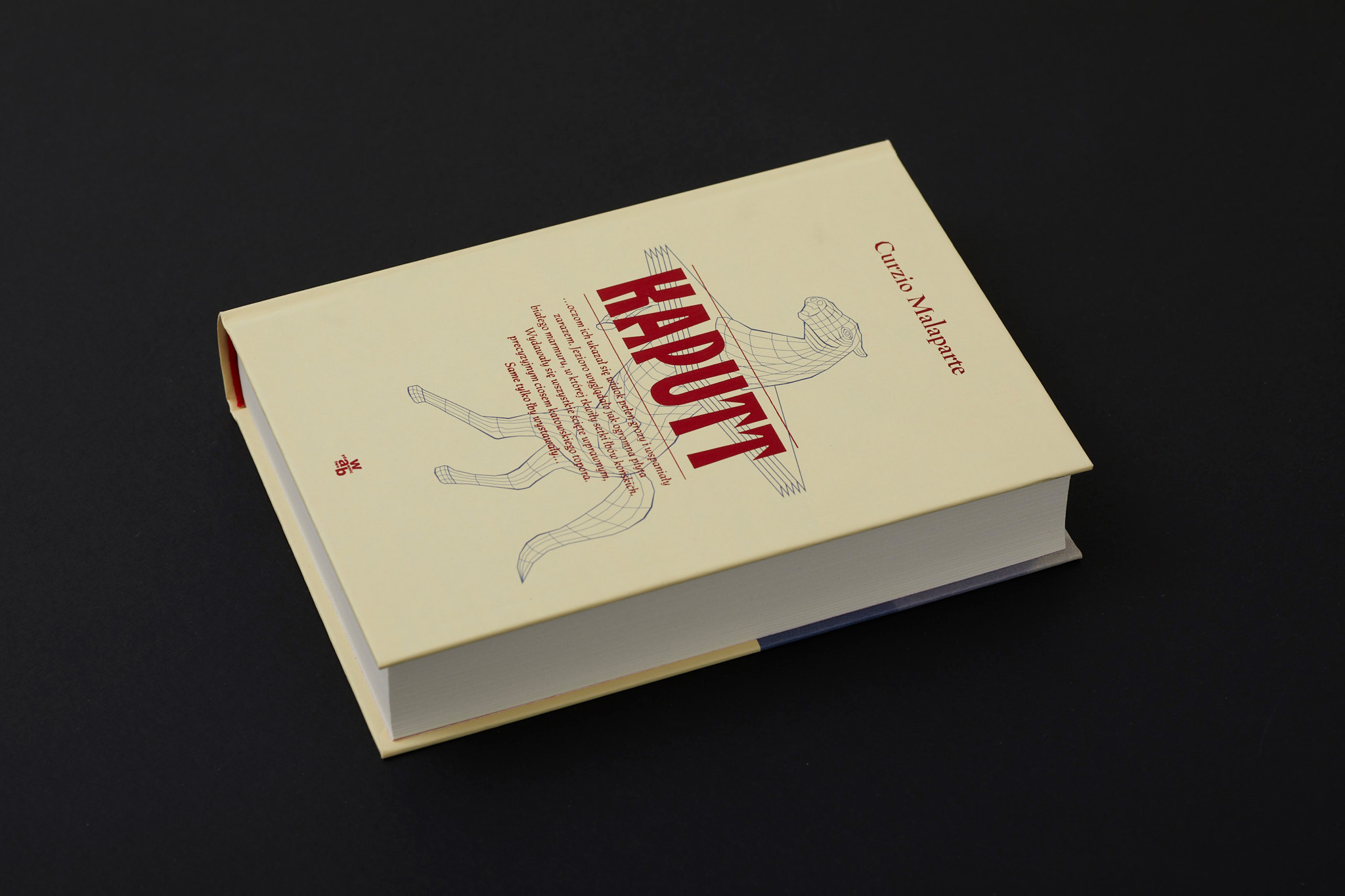 Tessera_fot.Basia_Budniakokladki_tessera_0028m Tessera_fot.Basia_Budniakokladki_tessera_0028m