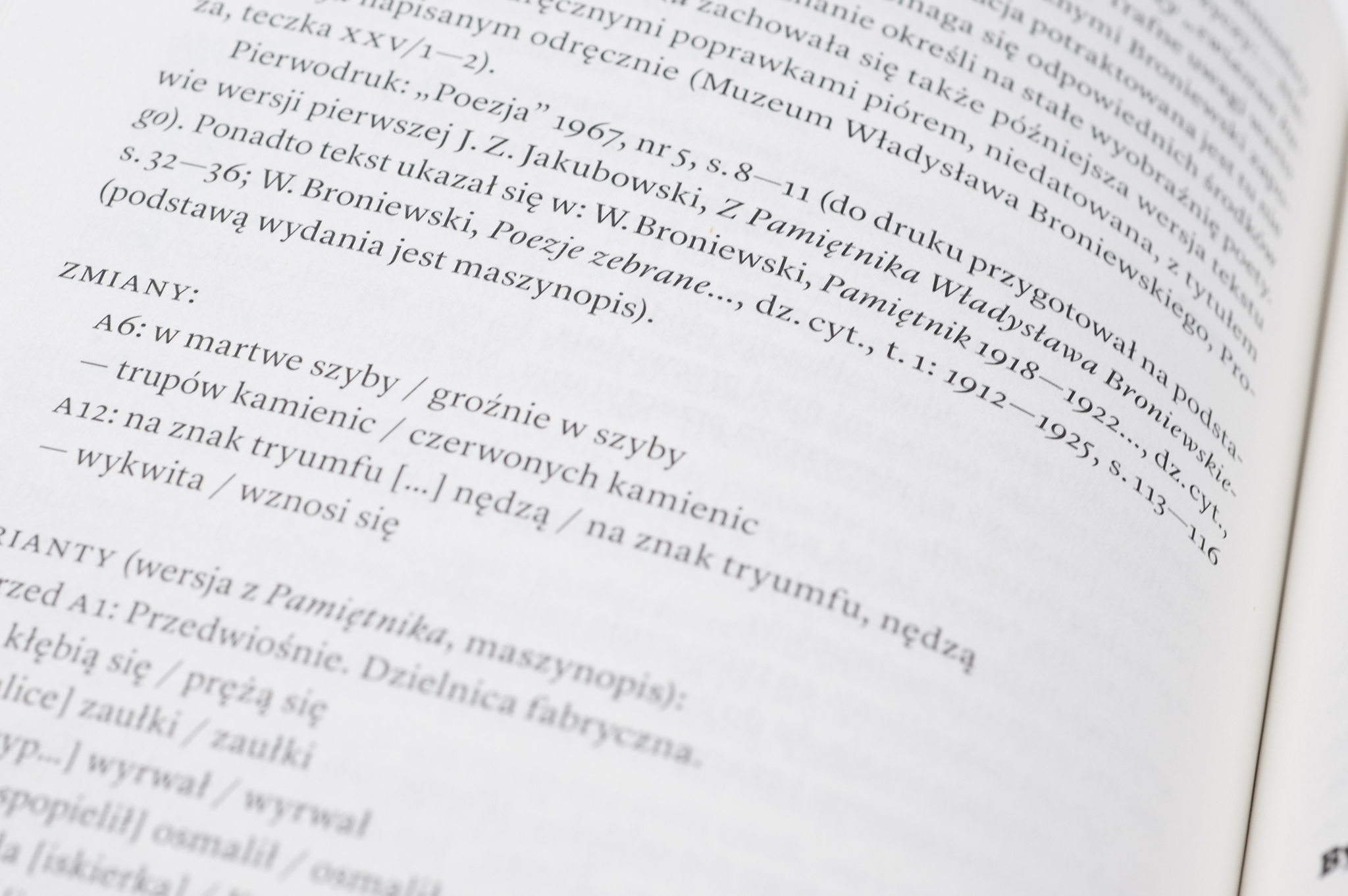 broniewski_stanela_naga_013