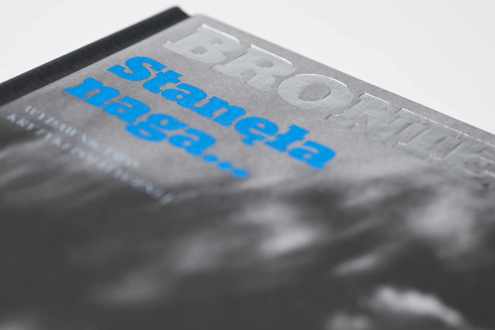 broniewski_stanela_naga_038