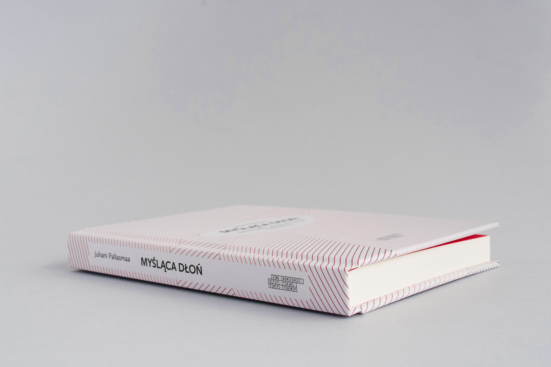 buba_Myslaca dlon_7523m