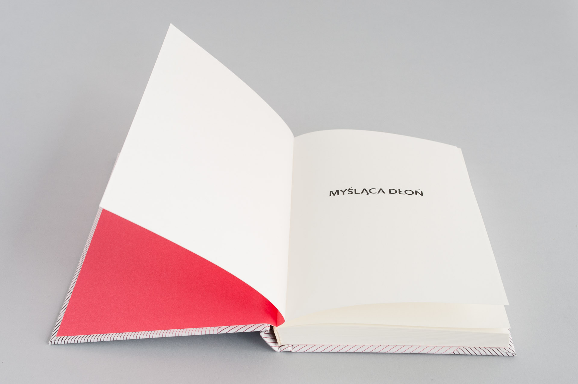 buba_Myslaca dlon_7532m