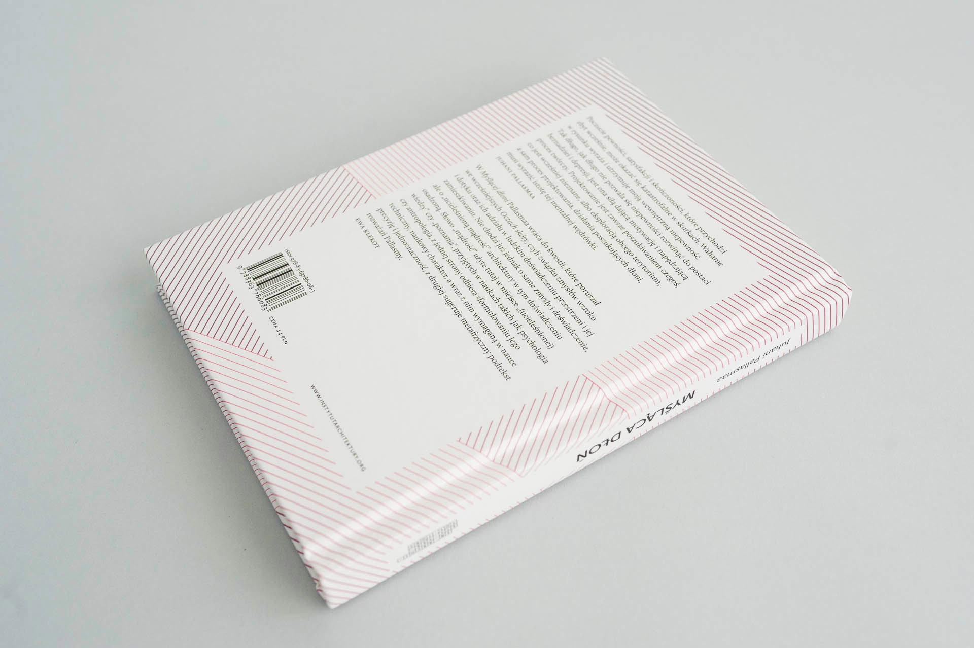 buba_Myslaca dlon_7856m