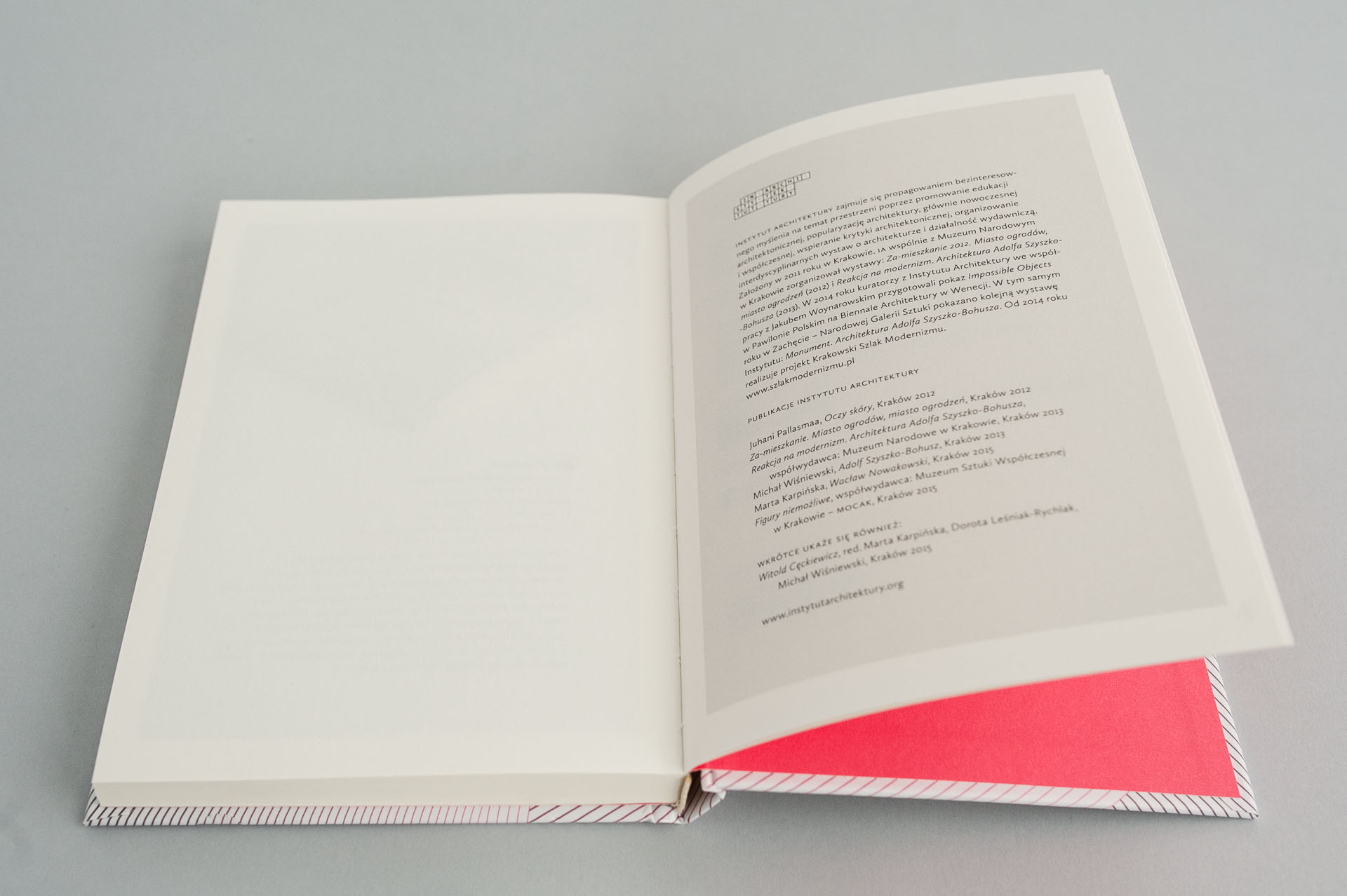 buba_Myslaca dlon_7865m