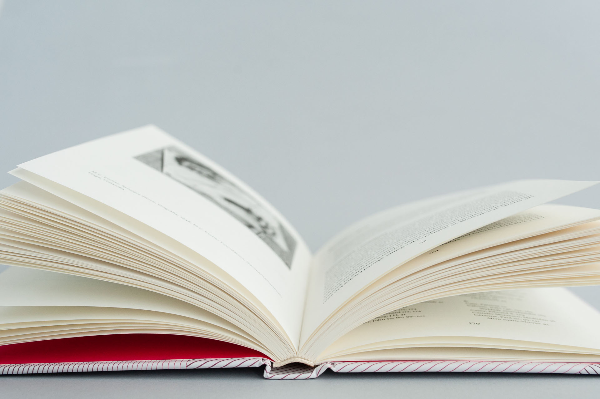 buba_Myslaca dlon_7883m