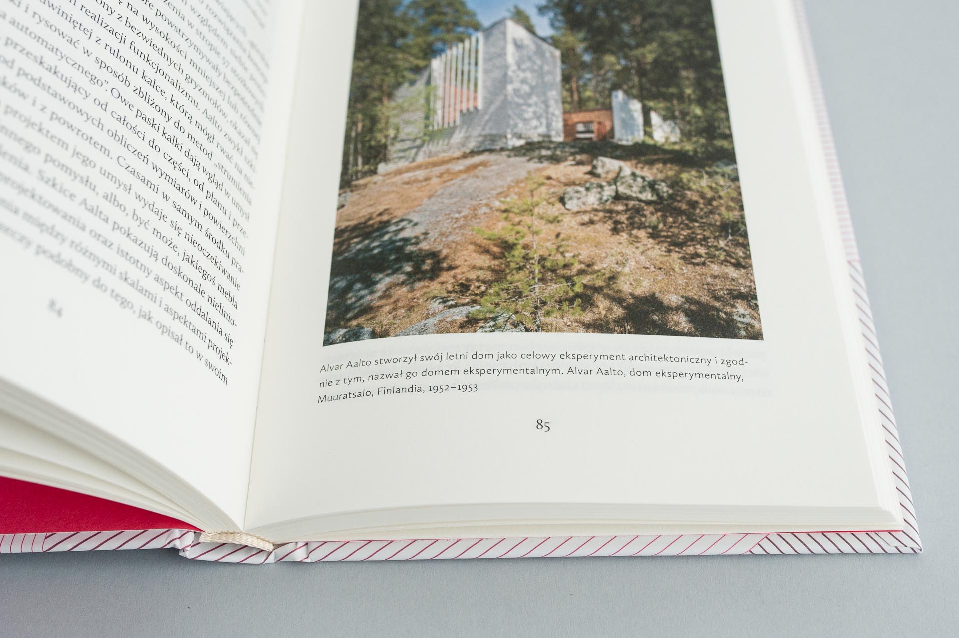 buba_Myslaca dlon_7888m