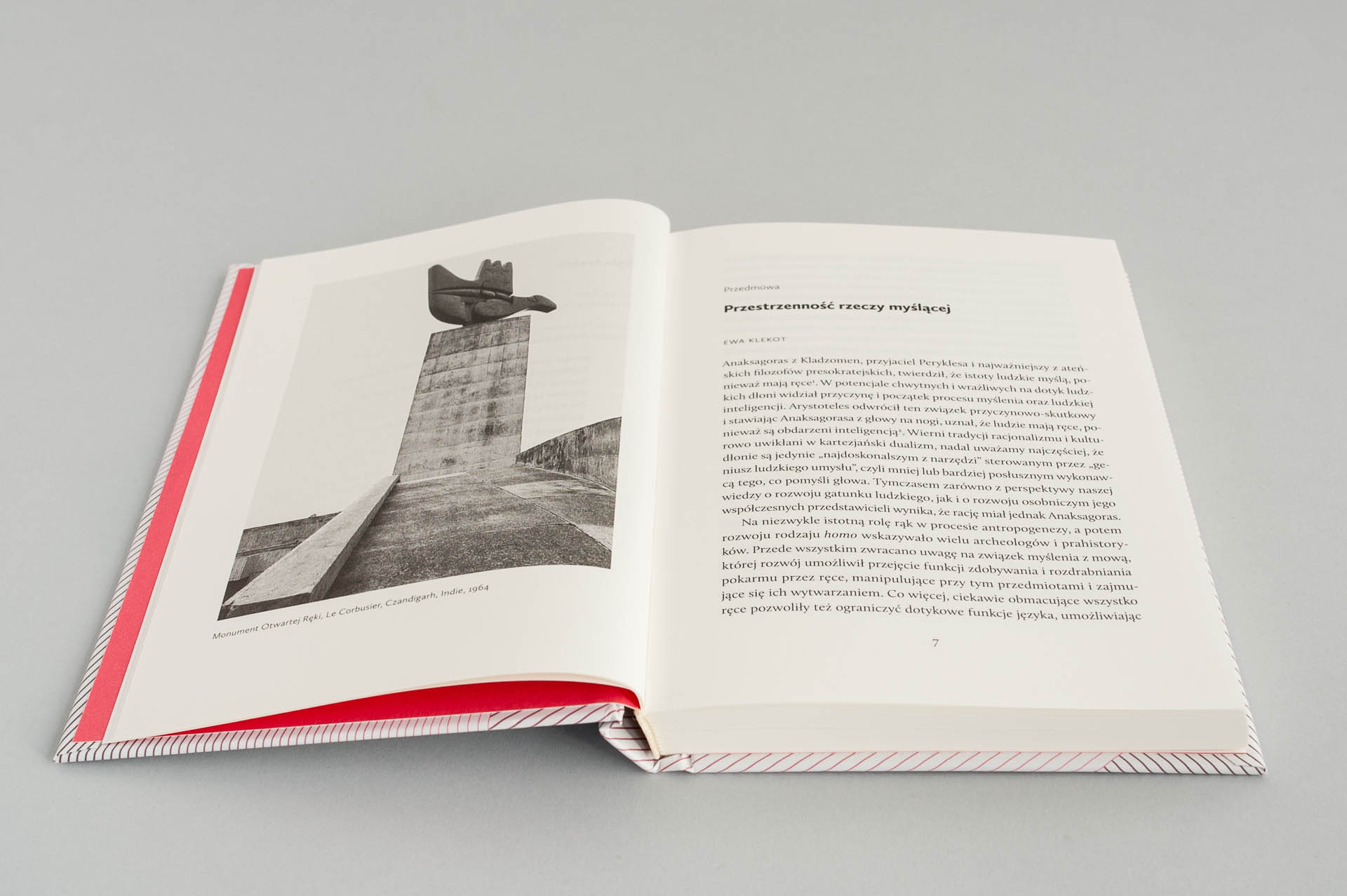 buba_Myslaca dlon_m‑2