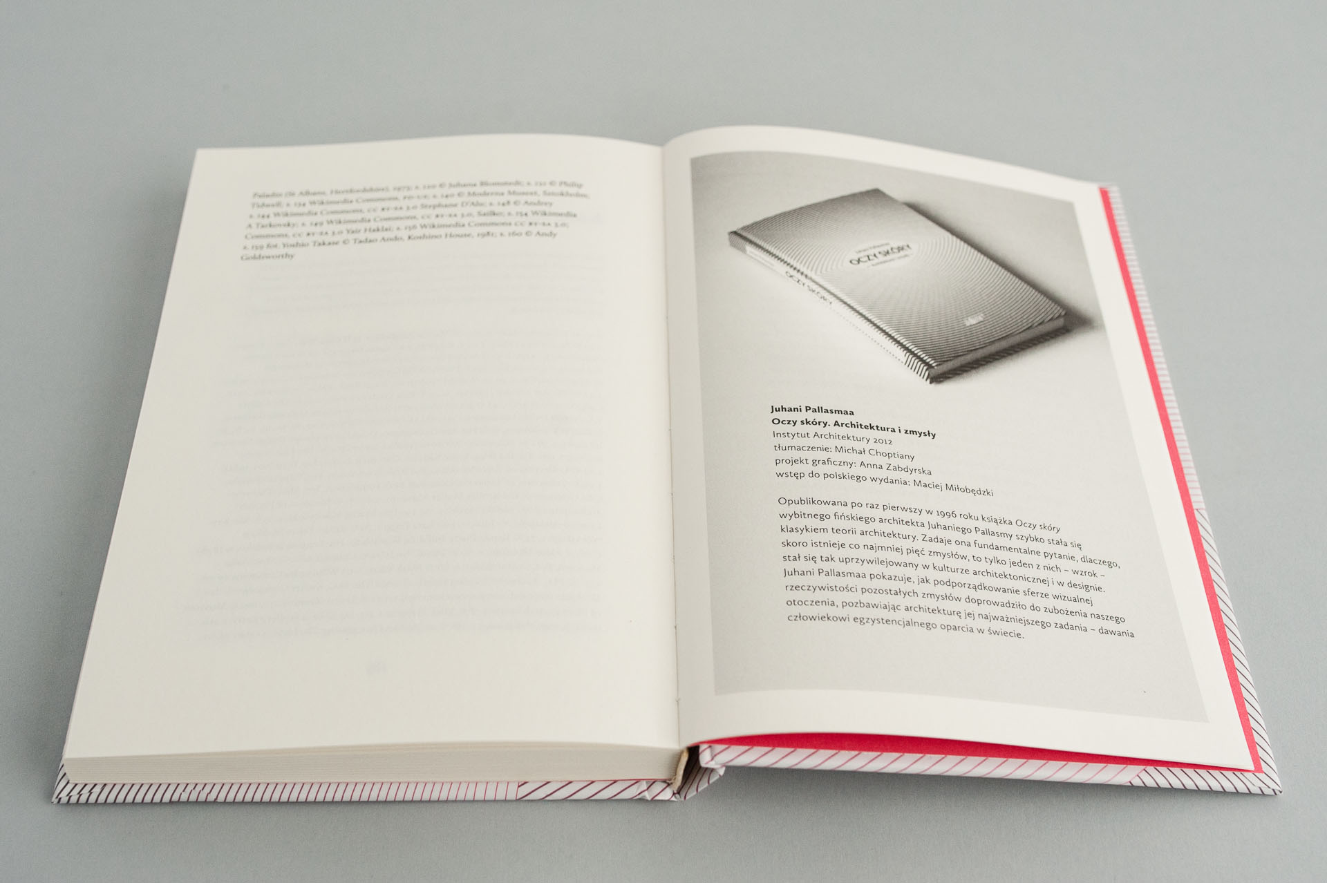 buba_Myslaca dlon_m‑5