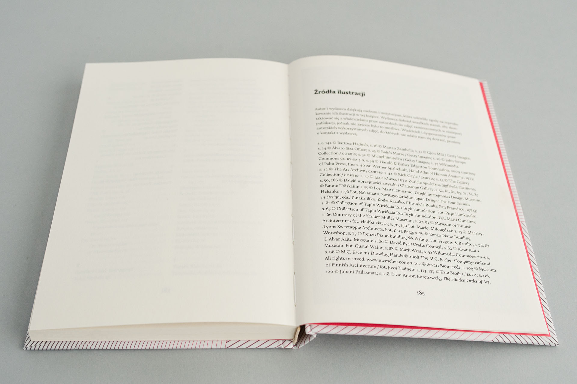 buba_Myslaca dlon_m‑6