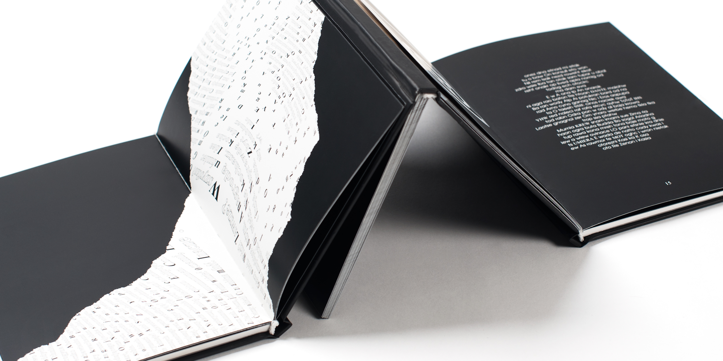 01_Okaleczenie_BBudniak